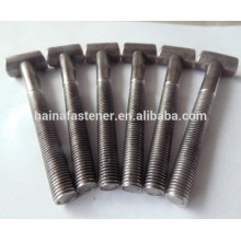 costomed stainless steel T shaped bolt